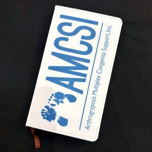 AMCSI notebook
